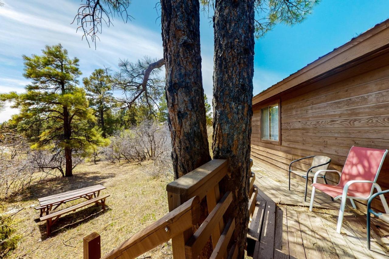 Villa Self-Reflection Pagosa Springs Exterior foto